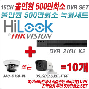 [올인원-5M] DVR216UK2 16CH + 주연전자/하이크 500만화소 올인원 카메라 10개세트 (실내형3.6mm/실외형2.8mm출고)