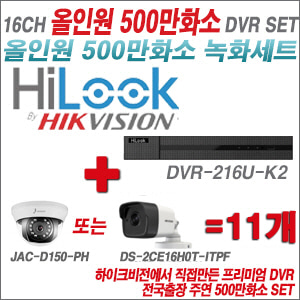 [올인원-5M] DVR216UK2 16CH + 주연전자/하이크 500만화소 올인원 카메라 11개세트 (실내형3.6mm/실외형2.8mm출고)