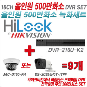 [올인원-5M] DVR216UK2 16CH + 주연전자/하이크 500만화소 올인원 카메라 9개세트 (실내형3.6mm/실외형2.8mm출고)