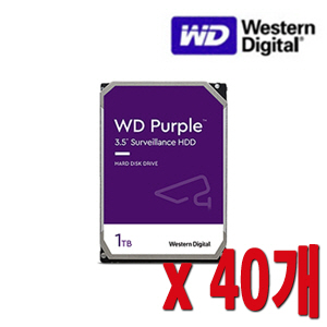 [HDD-1TB] [웨스턴디지털 퍼플 Purple] 하드디스크 - 3년무상AS 1000GB [1테라 1Tera] -- 40개 묶음 이벤트할인상품 [100% 재고보유판매/당일발송/성남 방문수령가능]